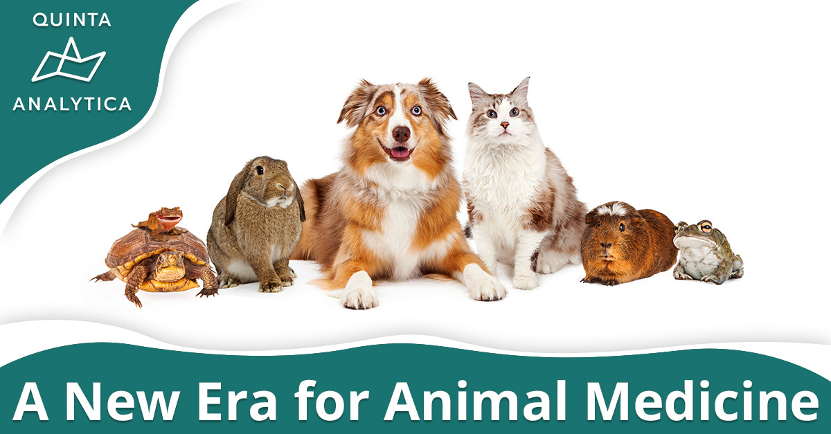 62175915c9dfd30f492c3943_QUINTA-Animal-Medicine-LI-v1